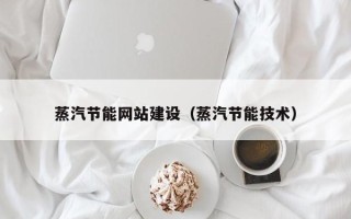 宁国蒸汽节能网站建设（蒸汽节能技术）